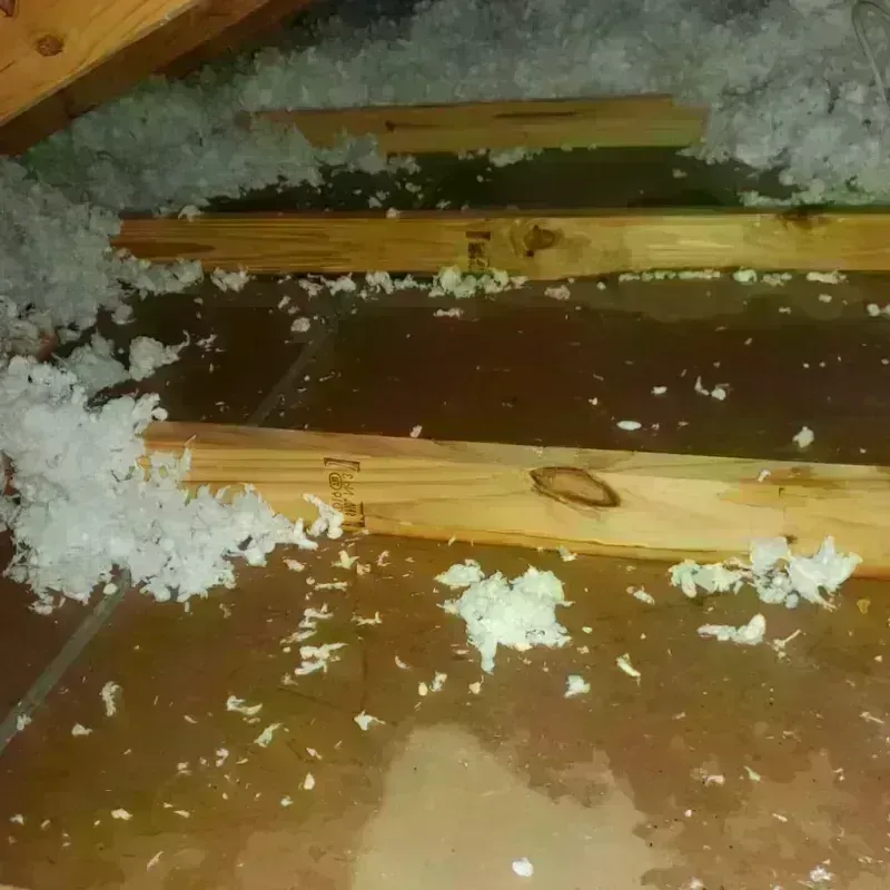 Attic Water Damage in Grant County, OR