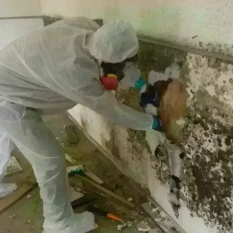 Mold Remediation and Removal in Grant County, OR